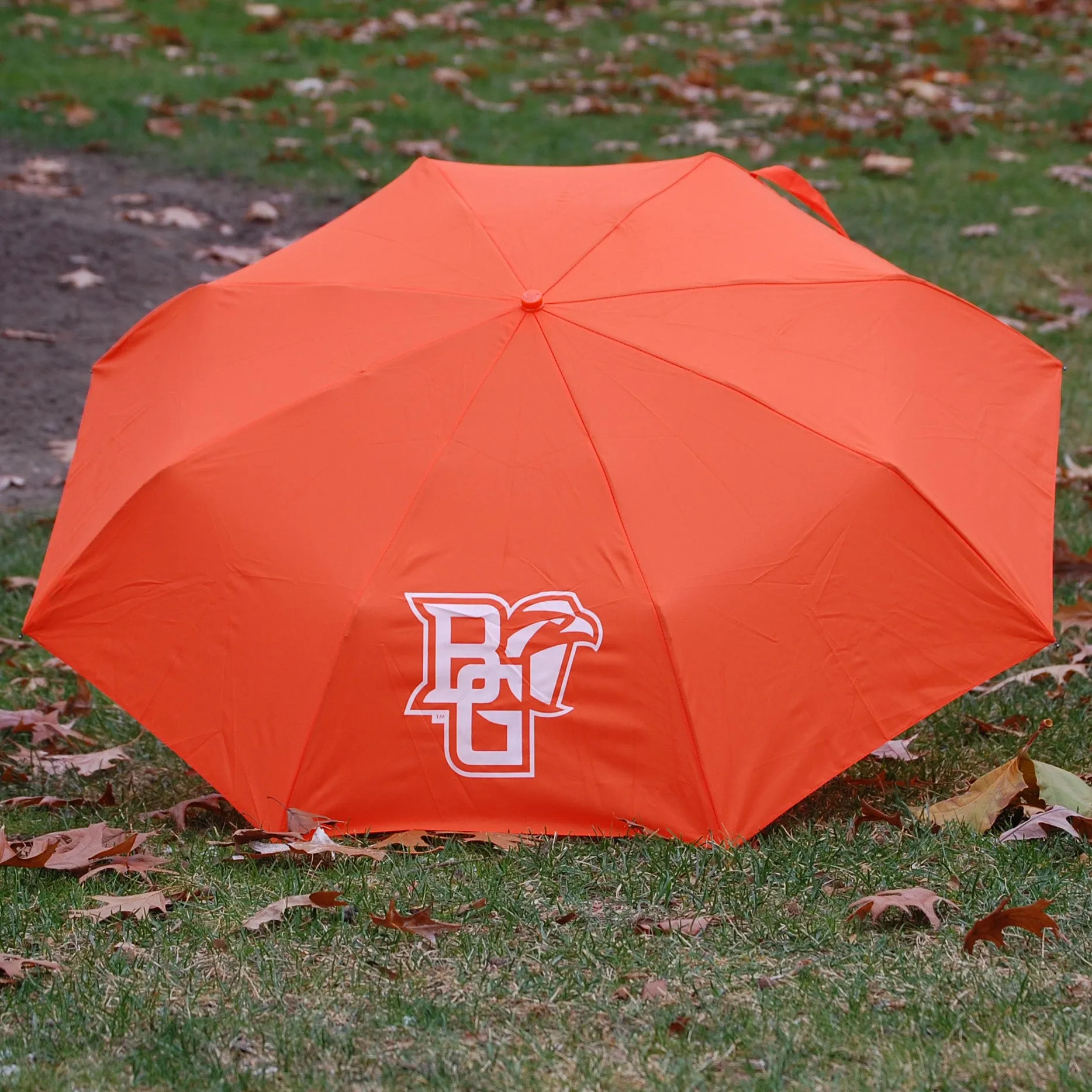 Storm Duds Peekaboo Umbrella